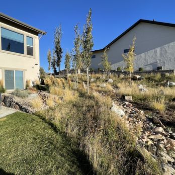 Accent Landscapes - a view of the front yard of a home - Landscaping Near Me - Colorado Springs, Colorado Accent Landscapes - a view of the front yard of a home - Landscaping Near Me - Colorado Springs, Colorado