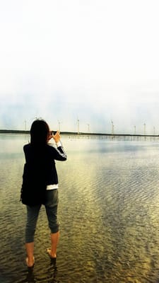 Gaomei Wetlands by null