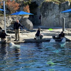 Mystic Aquarium