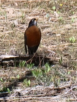 MUV Fitness South Spokane - Image 5