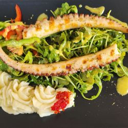 Delectable cephalopod!