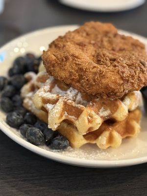 TOAST SUGAR LAND by null