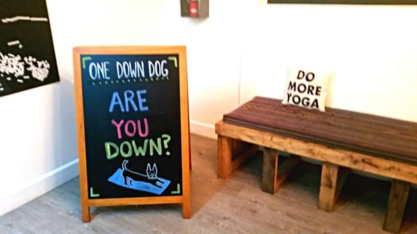 One Down Dog | Yoga + Fitness Studio by null