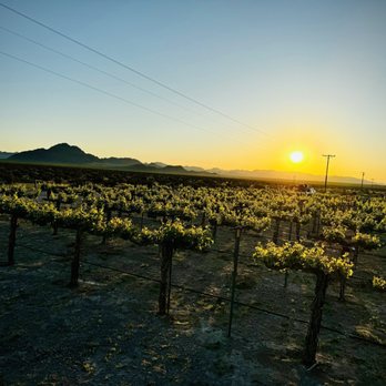 Tarantula Ranch Camping & Glamping - Morning sunrise view with coffee - Campgrounds Near Me - Amargosa Valley, Nevada Tarantula Ranch Camping & Glamping - Morning sunrise view with coffee - Campgrounds Near Me - Amargosa Valley, Nevada