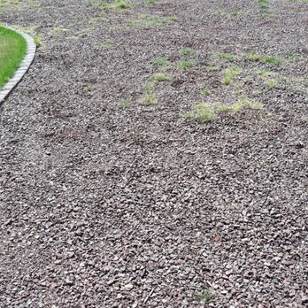 Burns Pest Elimination - Better than before - Pest Control Near Me - Phoenix, Arizona Burns Pest Elimination - Better than before - Pest Control Near Me - Phoenix, Arizona