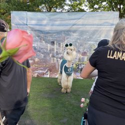 Portland Marathon