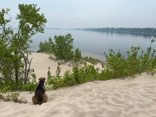 Sandbanks Provincial Park by null