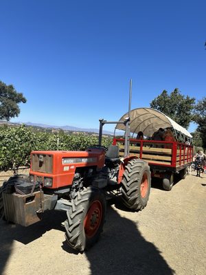 Vega Vineyard and Farm by null