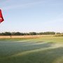 Photo of Red Golf