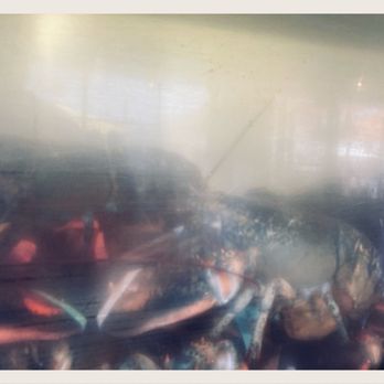 The Albright - Sebastian and friends. :D Can't wait to see them in bright orange with seasoning. lol - Seafood Near Me - Santa Monica, California The Albright - Sebastian and friends. :D Can't wait to see them in bright orange with seasoning. lol - Seafood Near Me - Santa Monica, California