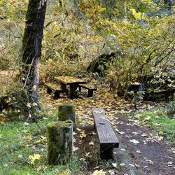 Mcdowell Creek Falls - A picnic area with extra seating and bbq pit.