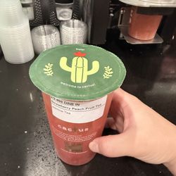 Cactus Bubble Tea