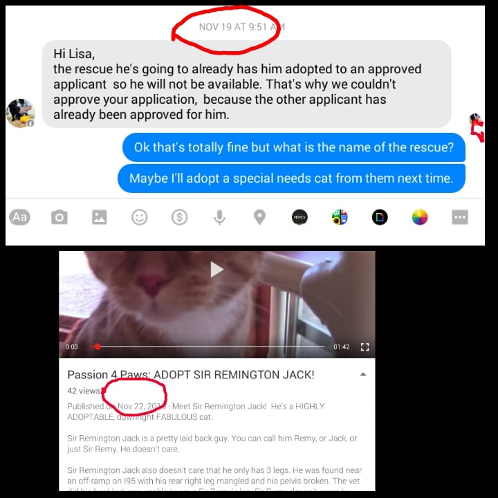 WARWICK ANIMAL SHELTER 28 Photos & 19 Reviews 101 Arthur W Devine