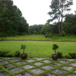 Snell & Associates Landscape Contractors