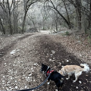 Violet Crown Trail - Winter - Hiking Near Me - Austin, Texas Violet Crown Trail - Winter - Hiking Near Me - Austin, Texas