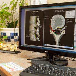 Parks Chiropractic, PC