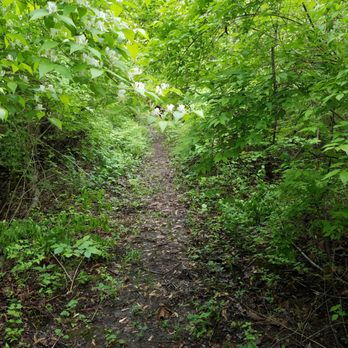 Johnson County Park & Recreation - cabin trail - Parks Near Me - Nineveh, Indiana Johnson County Park & Recreation - cabin trail - Parks Near Me - Nineveh, Indiana