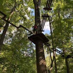 Go Ape Zipline & Adventure Park