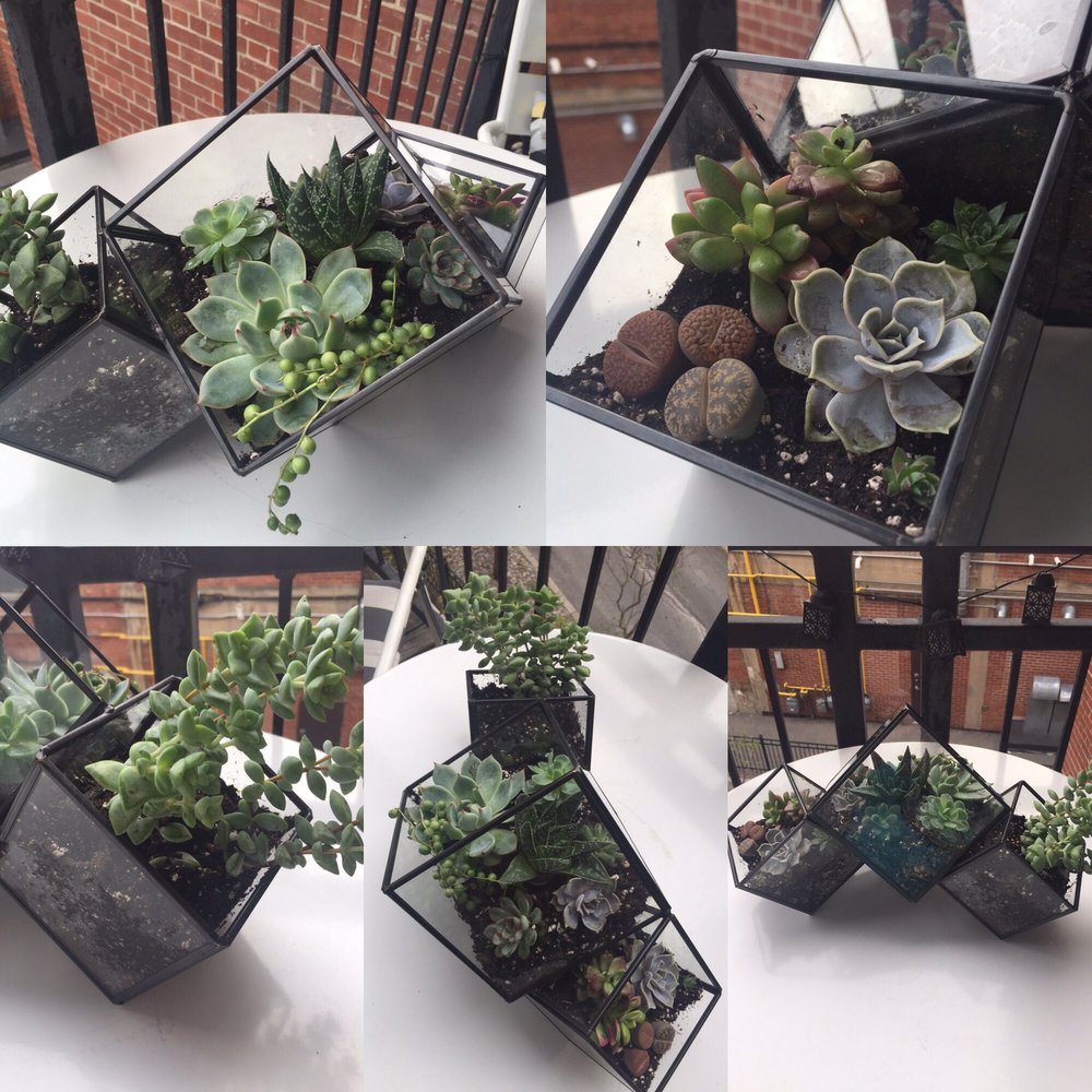 The Best 10 Nurseries & Gardening near Saunders Country Critters Zoo