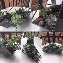 My Front Porch - Vicki helped me assemble this fantastic arrangement in my own terrarium during my visit to her DIY Succulent Bar.