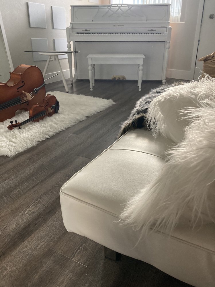 MILLENNIUM APARTMENTS Updated September 2024 4041 Arch Dr, Studio