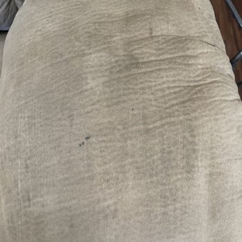 The Carpet "Guy" - Carpet Cleaning Near Me The Carpet "Guy" - Carpet Cleaning Near Me