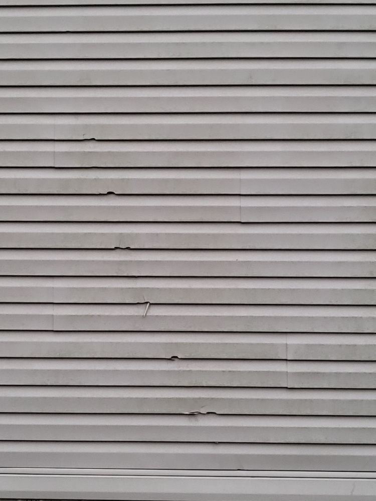 FLORIDA’S TREE MASTERS 41 Photos & 20 Reviews Port Orange, Florida