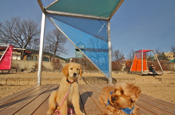 The Forks National Historic Site by null