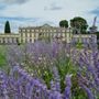 Photo of Chateau de Pennautier