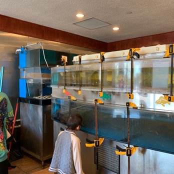 Mandarin Kitchen - Live tanks for fresh seafood. I saw lobster, prawns, crabs and other fish. - Dim Sum Near Me - Minneapolis, Minnesota Mandarin Kitchen - Live tanks for fresh seafood. I saw lobster, prawns, crabs and other fish. - Dim Sum Near Me - Minneapolis, Minnesota
