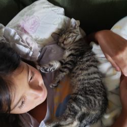 Elkhart County Humane Society - Noodle napping with his girl