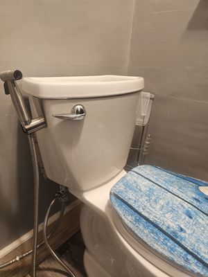 Flawless Sewer Service Logo