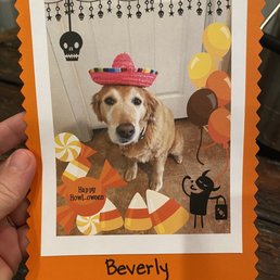 Bev's 2020 Halloween picture