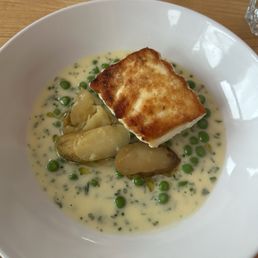 Halibut