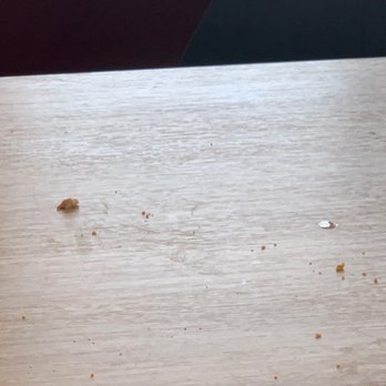 Jollibee - Filthy! Every table, window, wall, and floor is gross and disgusting. Place is less than a month old. - Fast Food Near Me - Orlando, Florida Jollibee - Filthy! Every table, window, wall, and floor is gross and disgusting. Place is less than a month old. - Fast Food Near Me - Orlando, Florida