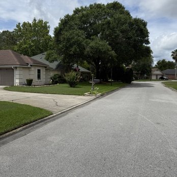 Lucas Tree Service - Before trimming! - Tree Services Near Me - Atlantic Beach, Florida