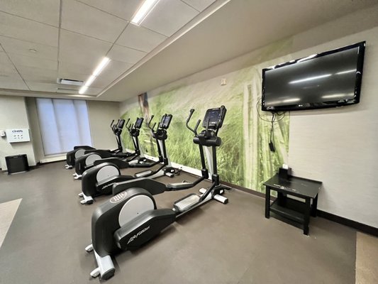 Photo of The Westin Book Cadillac Detroit - Detroit, MI, US. Gym