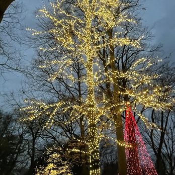 Winterlights at Newfields - Festivals Near Me - Indianapolis, Indiana Winterlights at Newfields - Festivals Near Me - Indianapolis, Indiana