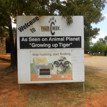 Tiger Creek Animal Sanctuary - Community Service/Non-Profit Near Me - Tyler, Texas