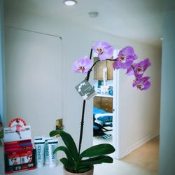 Hsuan Wang Chiropractic
