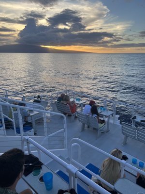 Pacific Whale Foundation by null