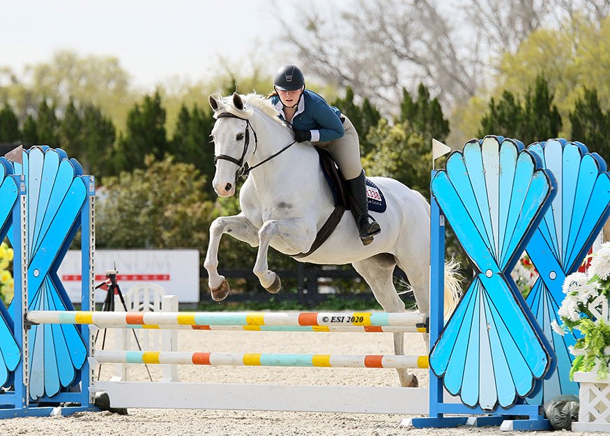 Century Mill Stables - equestrian in Bolton, MA