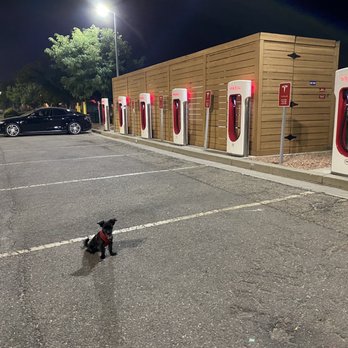 Tesla Supercharger Grand Junction - Supercharger and dog - EV Charging Stations Near Me - Grand Junction, Colorado Tesla Supercharger Grand Junction - Supercharger and dog - EV Charging Stations Near Me - Grand Junction, Colorado