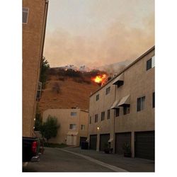 Los Angeles Fire Department - The flames you put out last weekend at the Cabrini Villas in Sun Valley. Thank you!!!