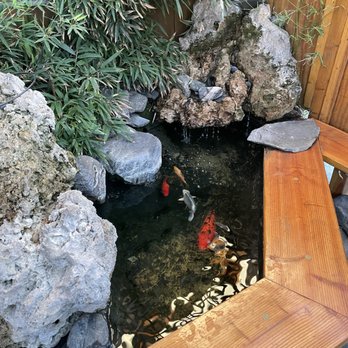 Teru Sushi - Koi pond at the front entrance - Sushi Bars Near Me - Studio City, California Teru Sushi - Koi pond at the front entrance - Sushi Bars Near Me - Studio City, California