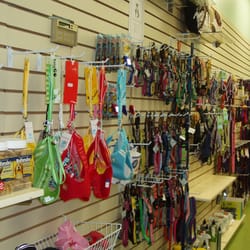 Psychic Kitty - Collars & Leads
