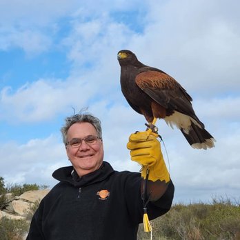 Sky Falconry - Specialty Schools Near Me - Alpine, California Sky Falconry - Specialty Schools Near Me - Alpine, California