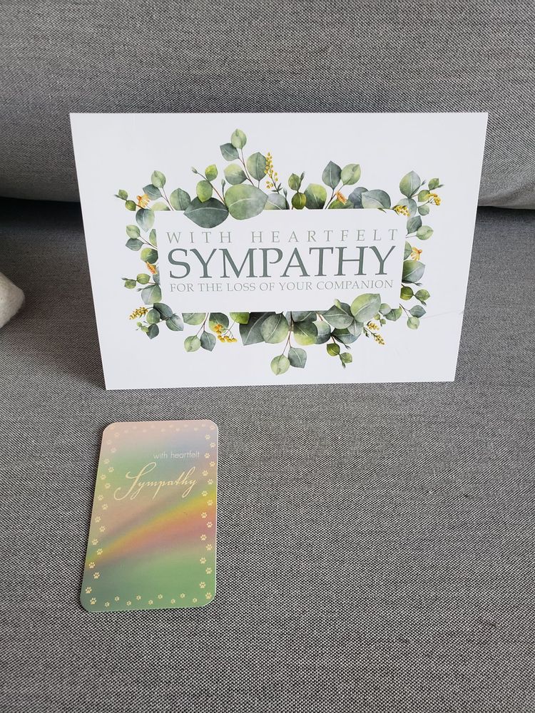 CRESCENTA VALLEY VETERINARY HOSPITAL Updated September 2024 41