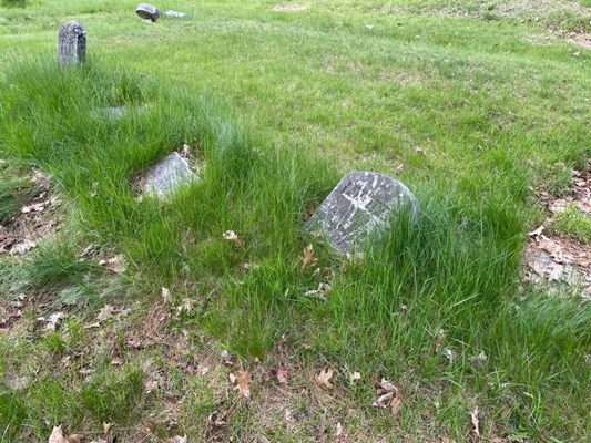 Western Cemetery by null