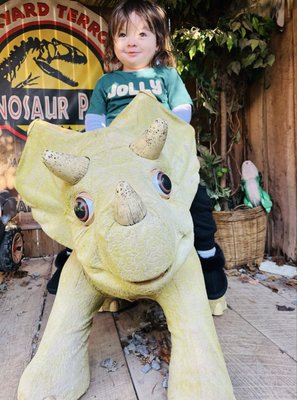 Backyard Terrors and Dinosaur Park by null